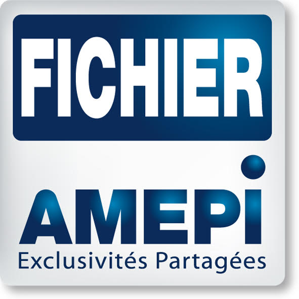 Fichier AMEPI, Nantes