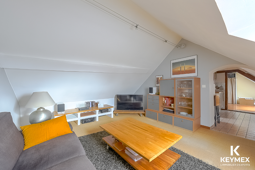 Appartement Saint Martin Du Tertre 2 pièce(s)