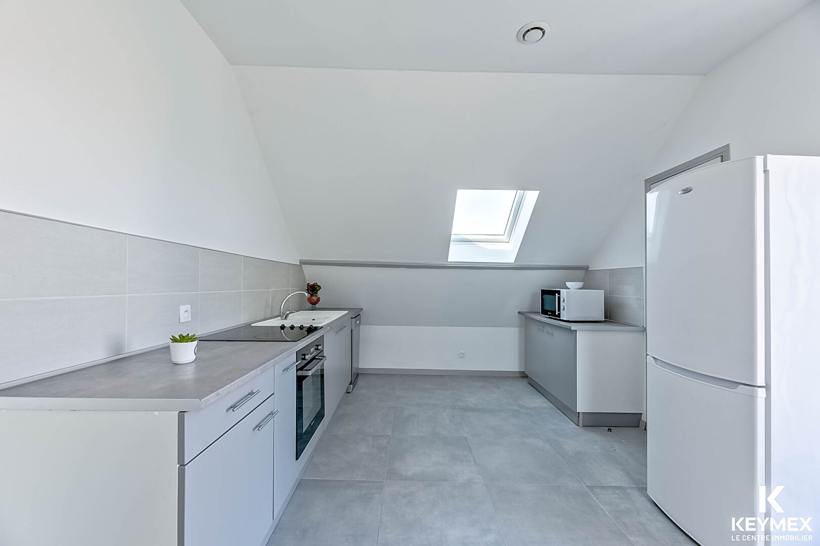 Maison Bruyeres Sur Oise 12 pièce(s) 285 m2 maison 4 appartements du F2 AU F4