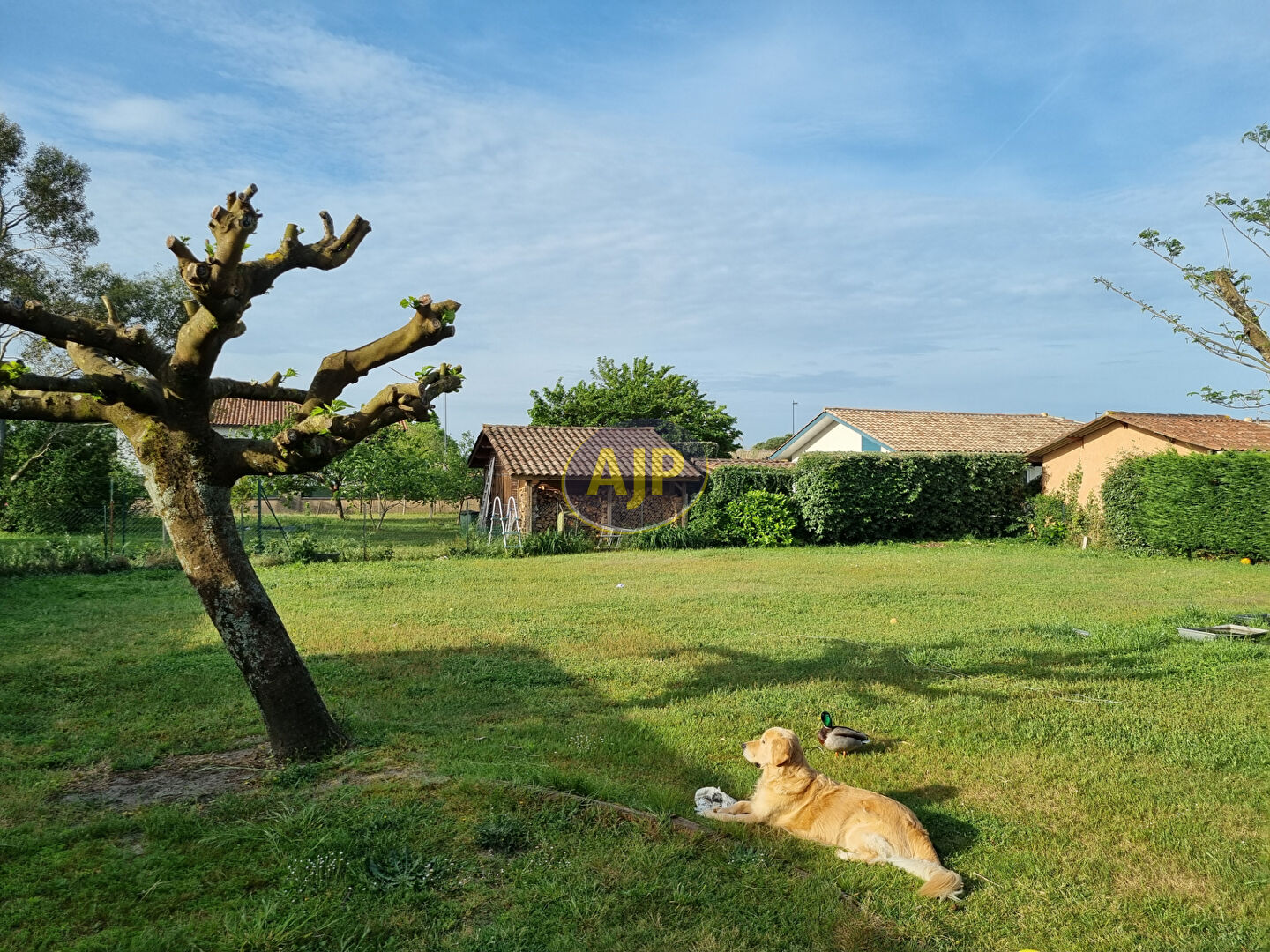 Bien immobilier - photo 11
