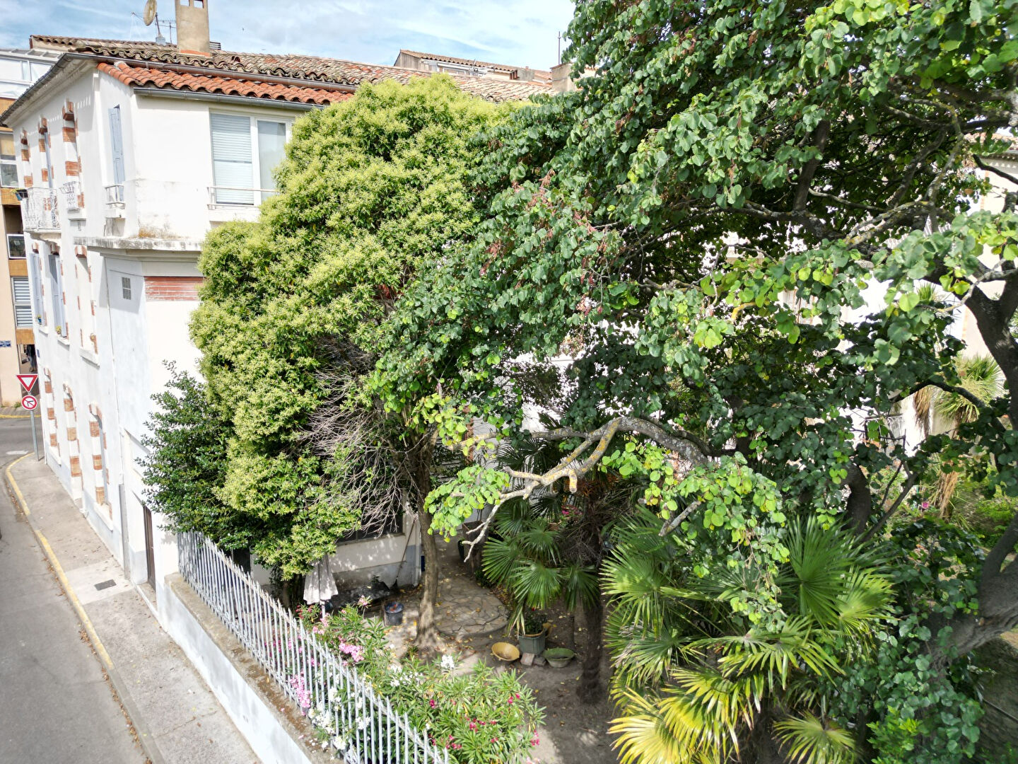 Photo 17