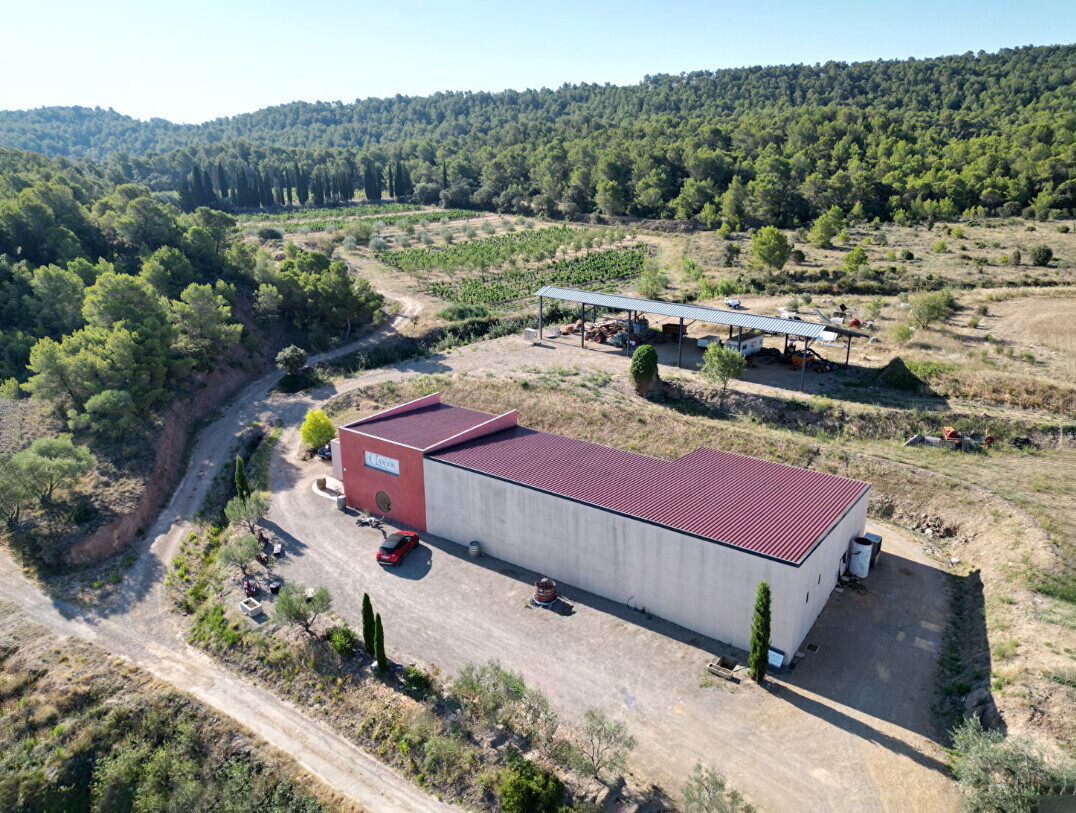 Immeuble 6 pièces — 450 m² — Narbonne (11100)