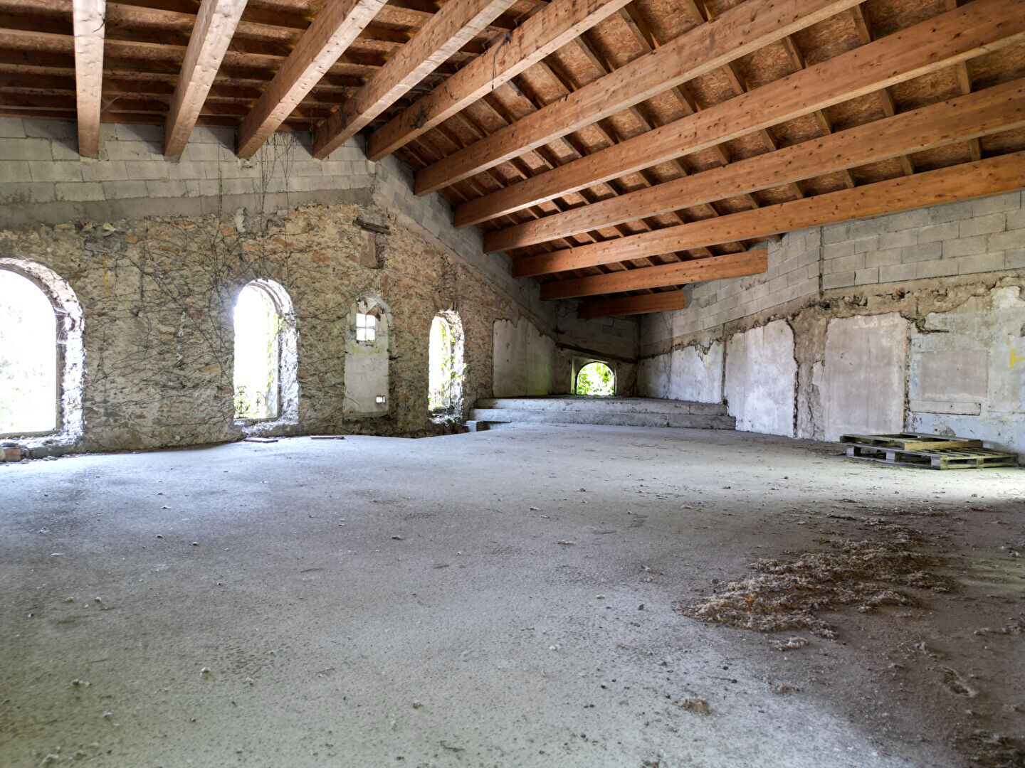 Photo 8