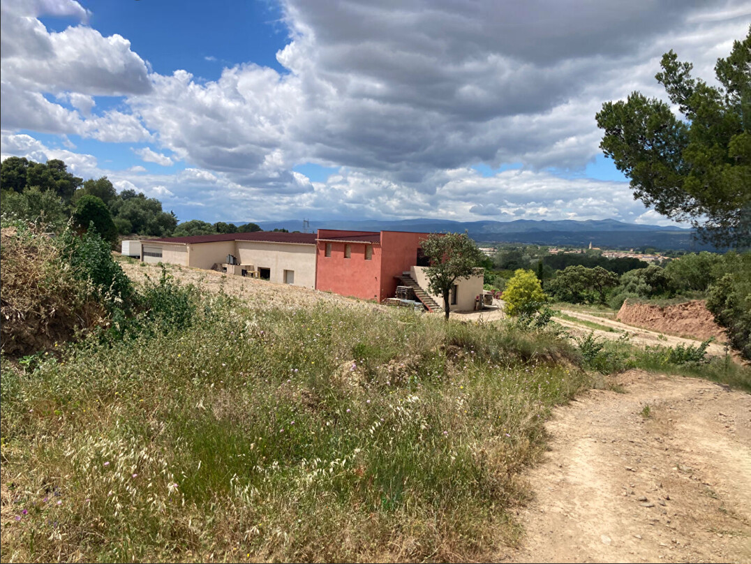 Local professionnel 6 pièces — 680 m² — Lezignan Corbieres (11200)