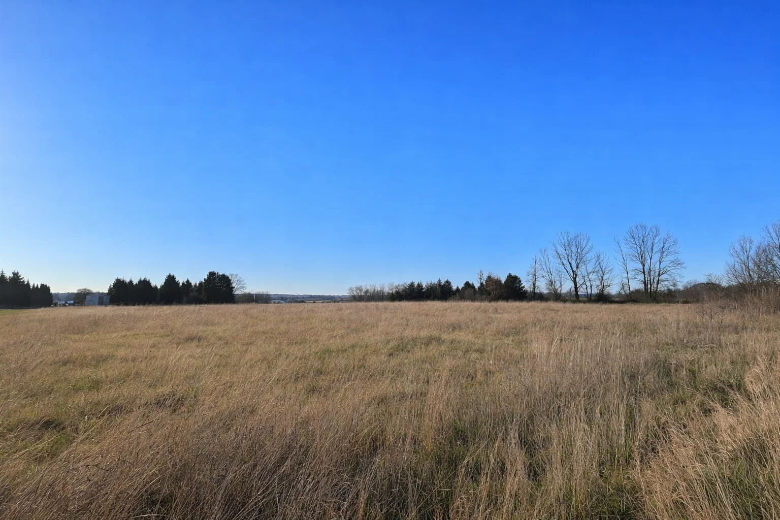 Terrain 7970 m² — Bram (11150)
