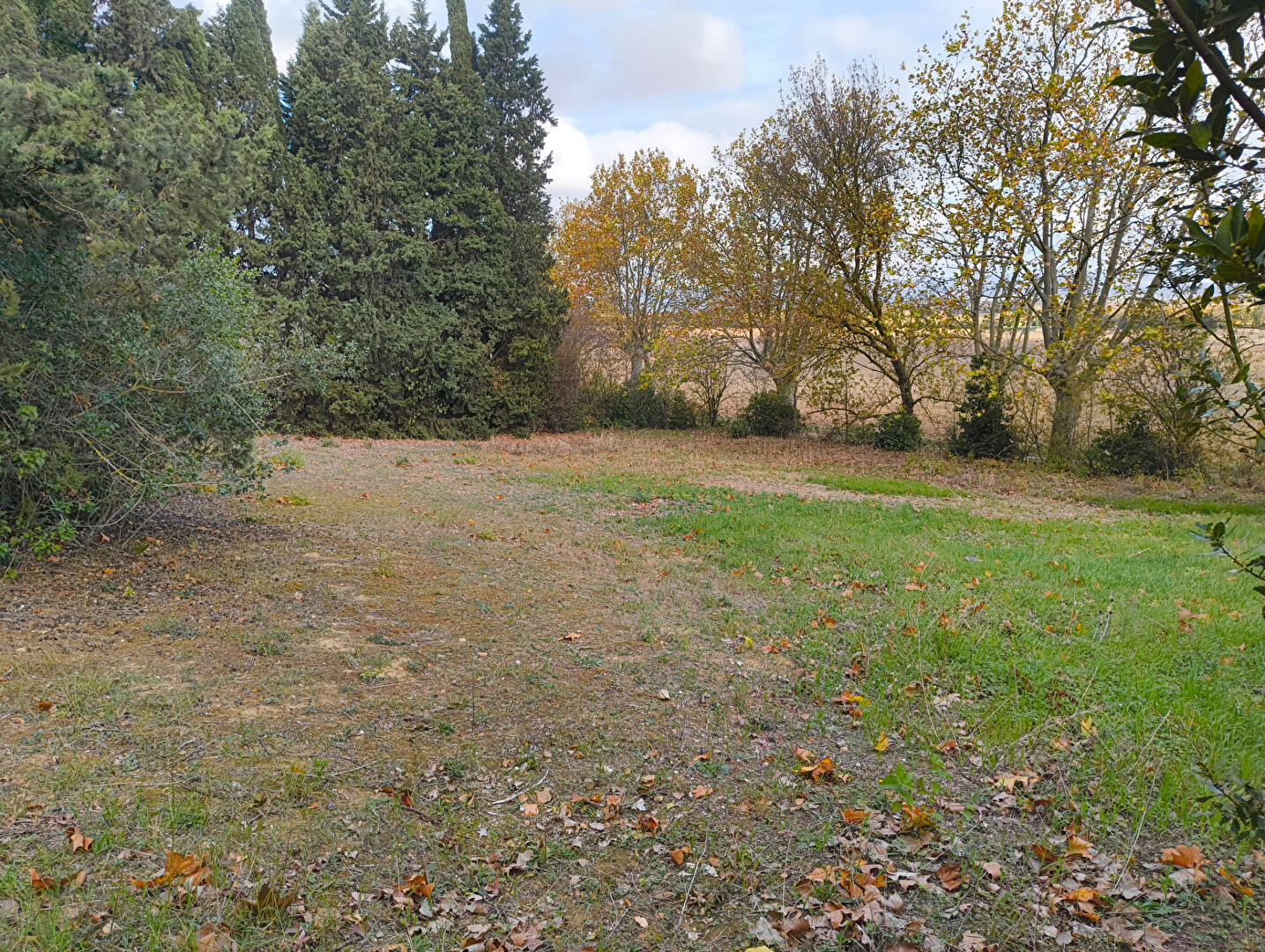 Terrain 1356 m² — Carcassonne (11000)