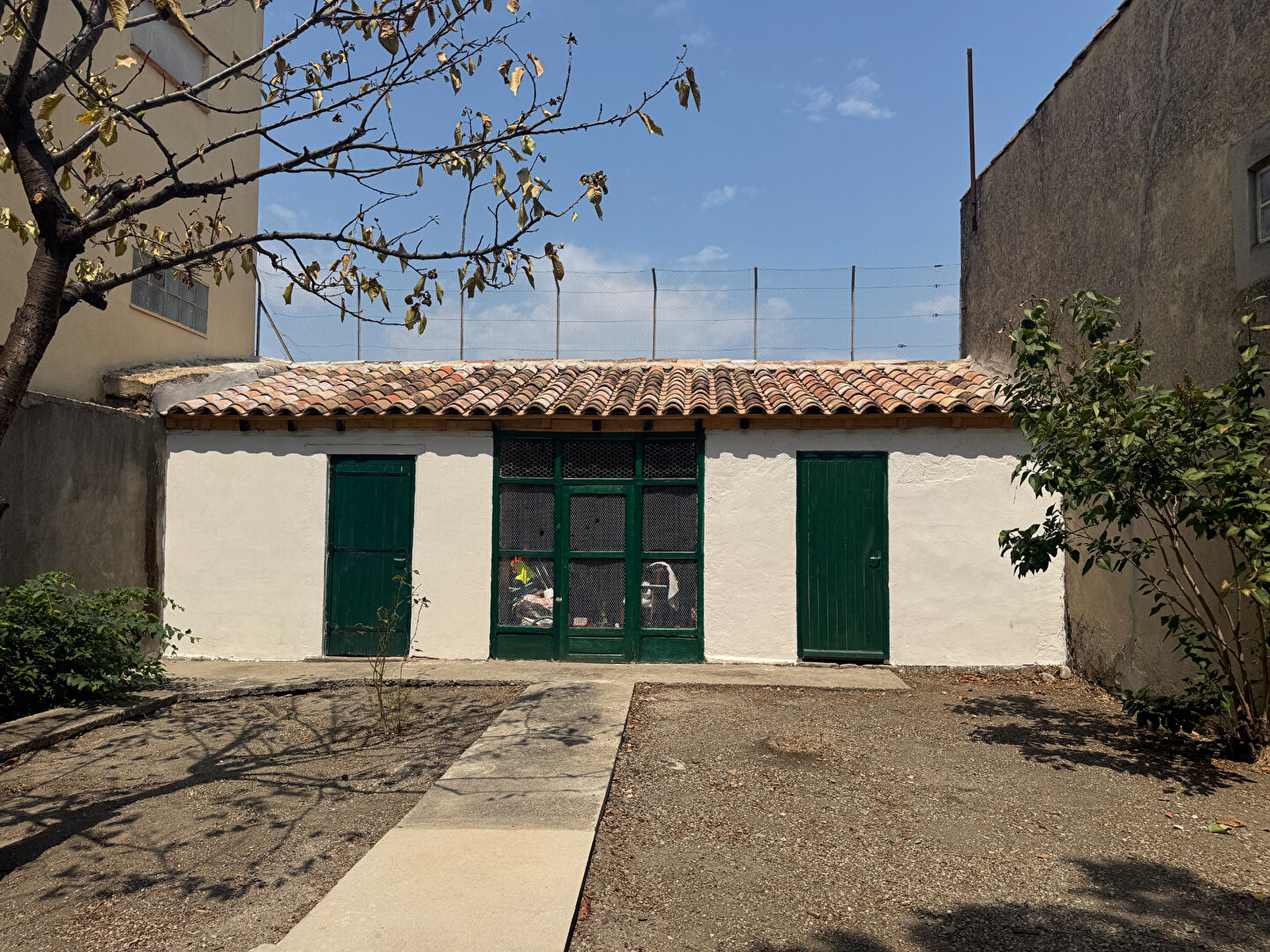 Photo 18