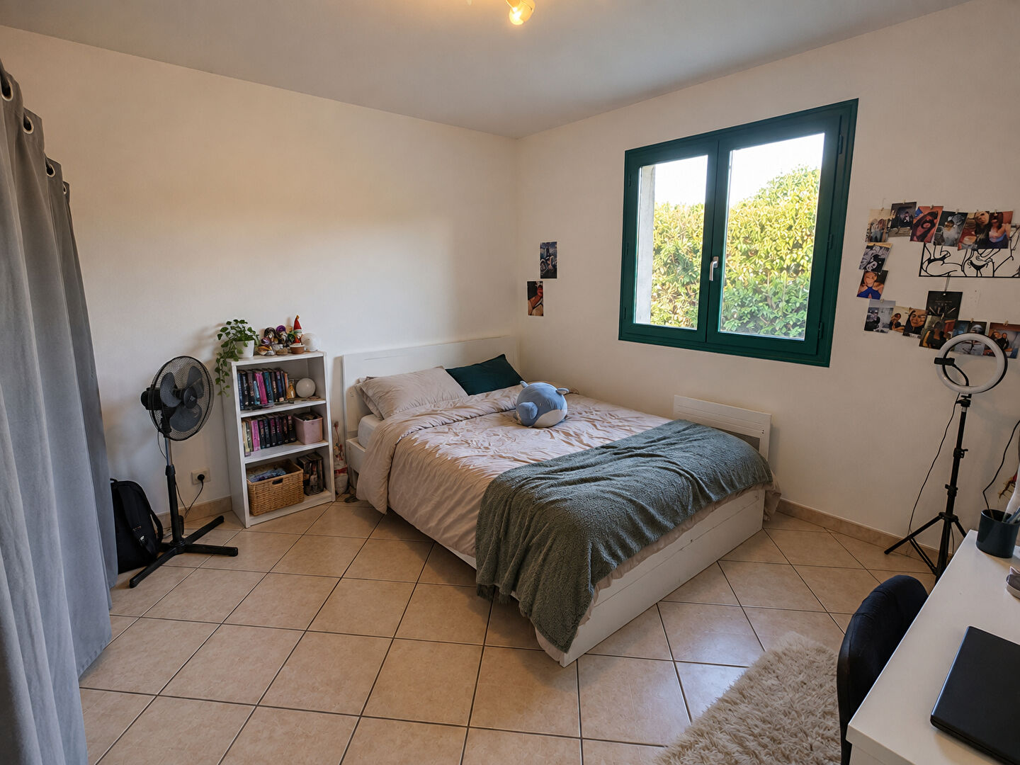 Photo 6