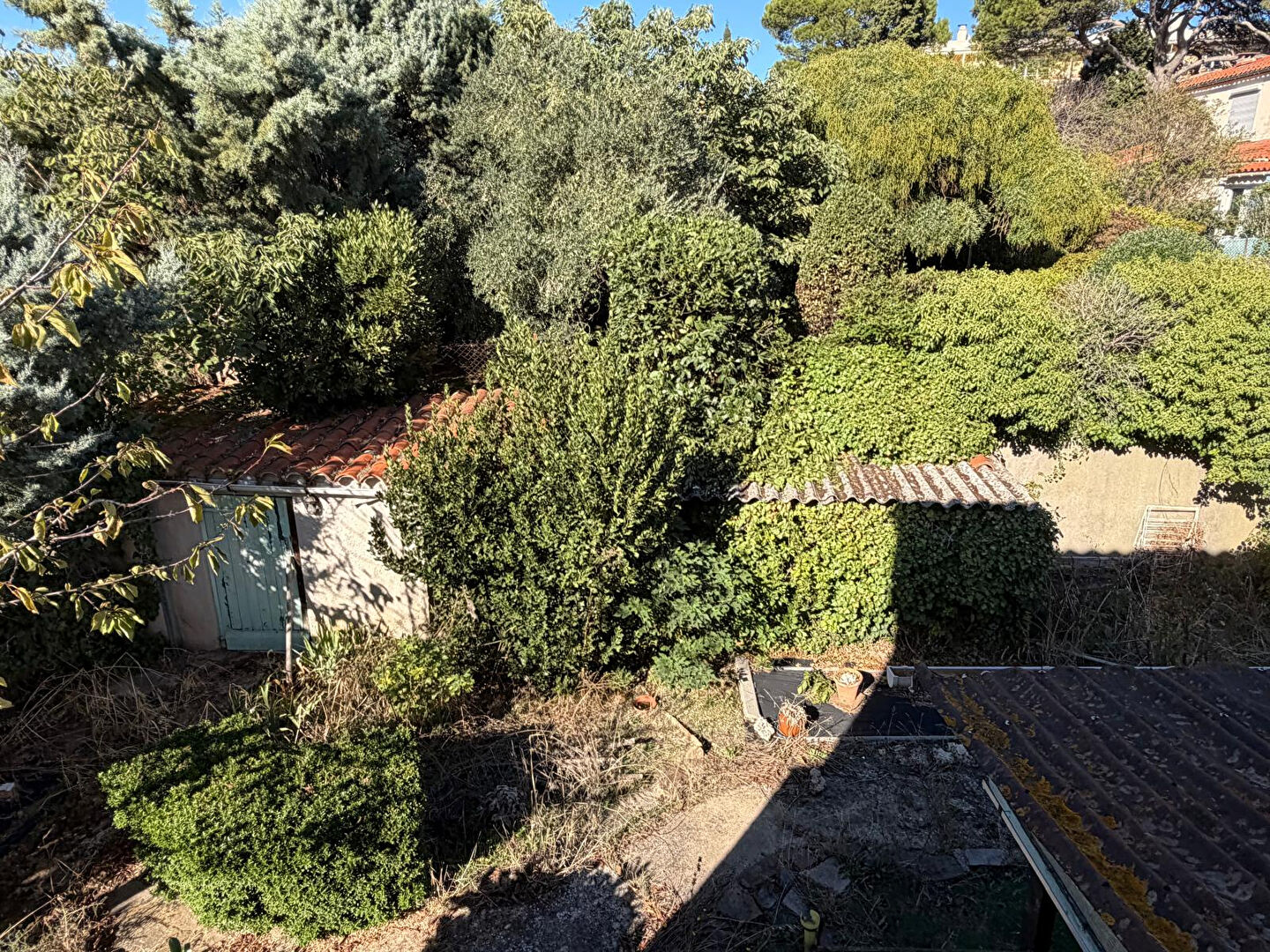 Photo 25