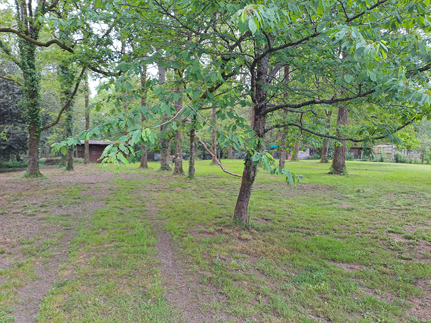Bien immobilier - photo 2