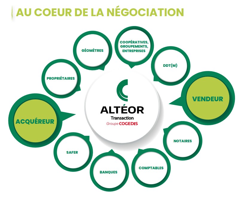Altéor