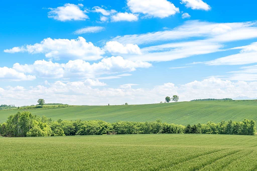 Terrains