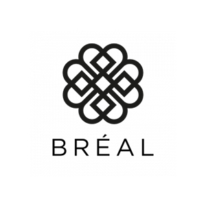 Logo Br�al