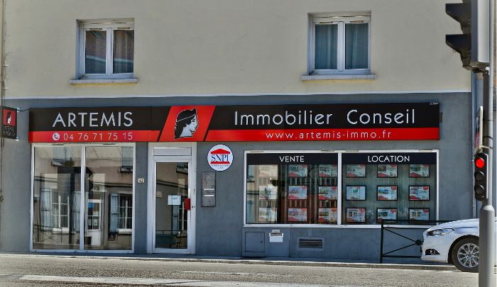 ARTÉMIS IMMOBILIER CONSEIL