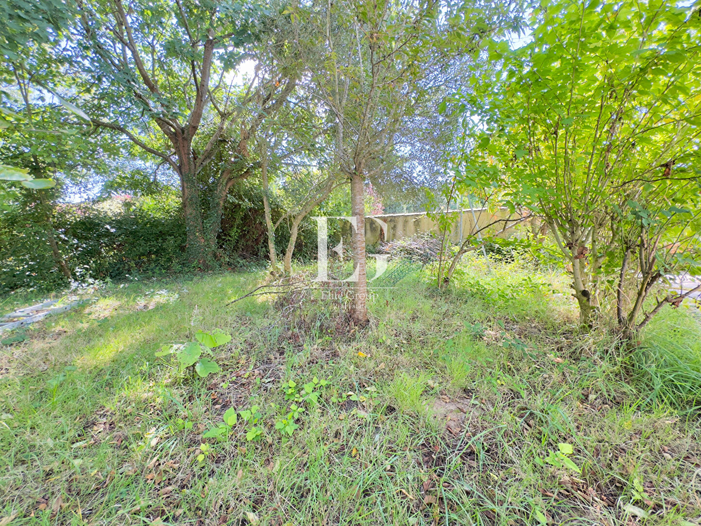 A VENDRE MAISON 2 CHAMBRES A ROCHEFORT