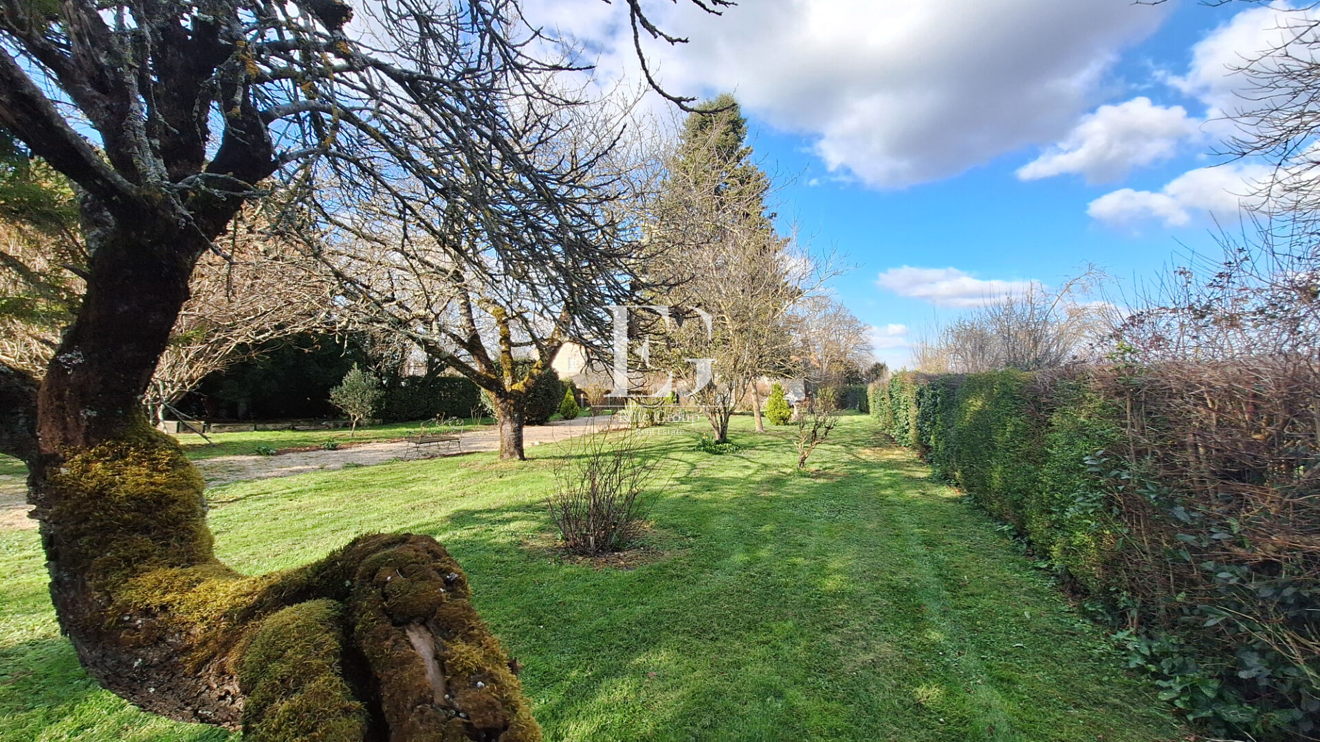 A VENDRE MAISON EN PIERRE SUR SEGONZAC - 4 CHAMBRES - 224 M2