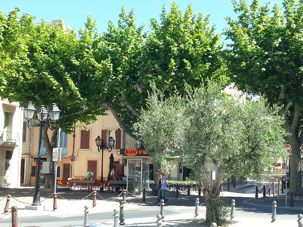 L�immobili�re des Calanques