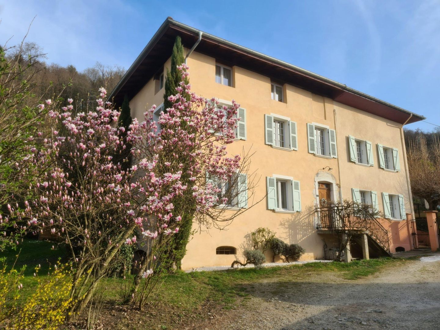 Maison Et Dépendances - Laissaud Savoie