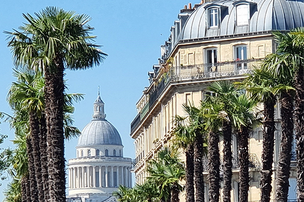 Chasse immobili�re