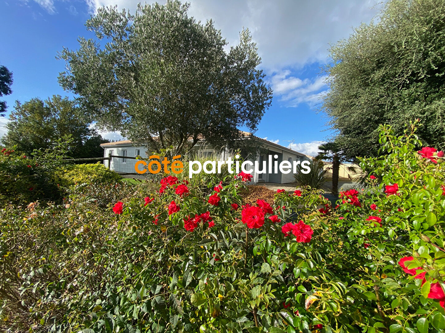 MAISON SITUÉE PRÈS DE CHANTONNAY DE 6 PIÈCES DE 148 M2