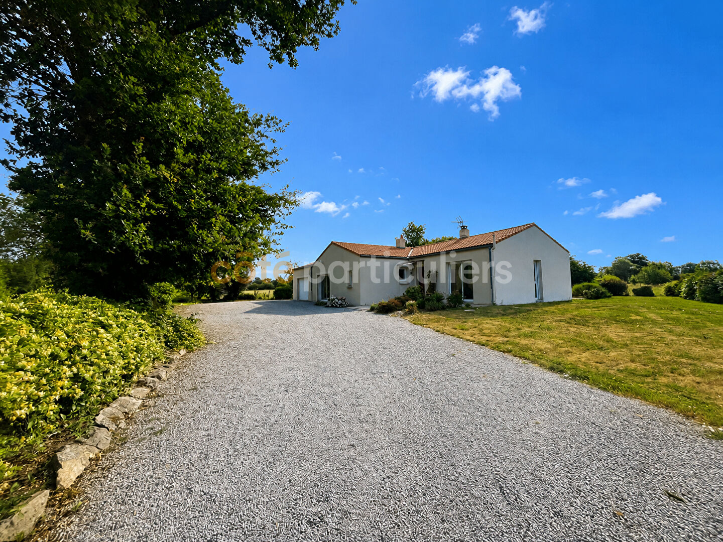 MONTAIGU VENDEE-85600