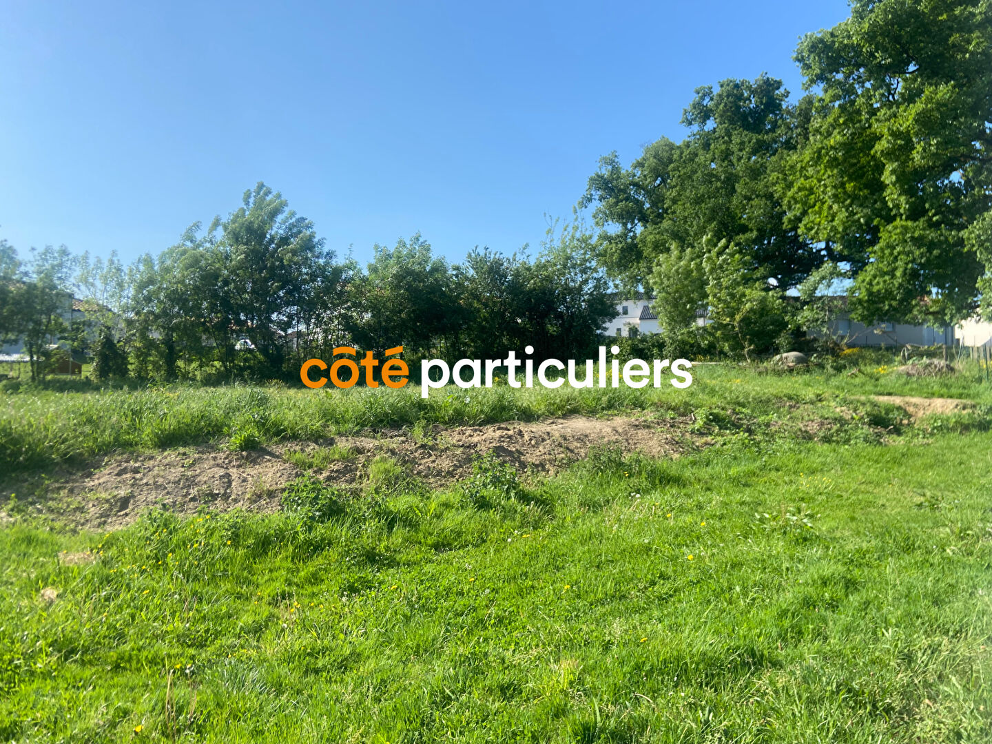 À VENDRE À LA ROMAGNE (49) : TERRAIN CONSTRUCTIBLE DE 1000 M² VIABILISÉ AVEC GRAND HANGAR