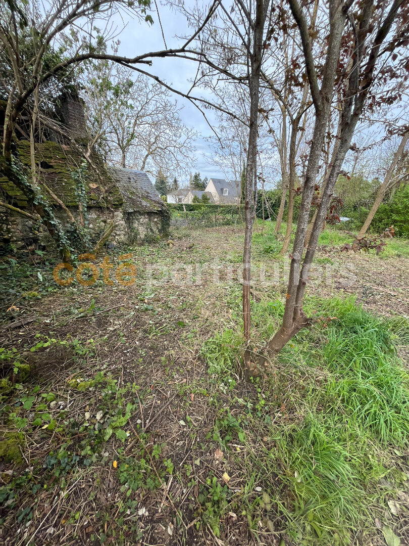Terrain 606 m² · à Saint-Cyr-sur-Loire · 606 m² · 217 095 €