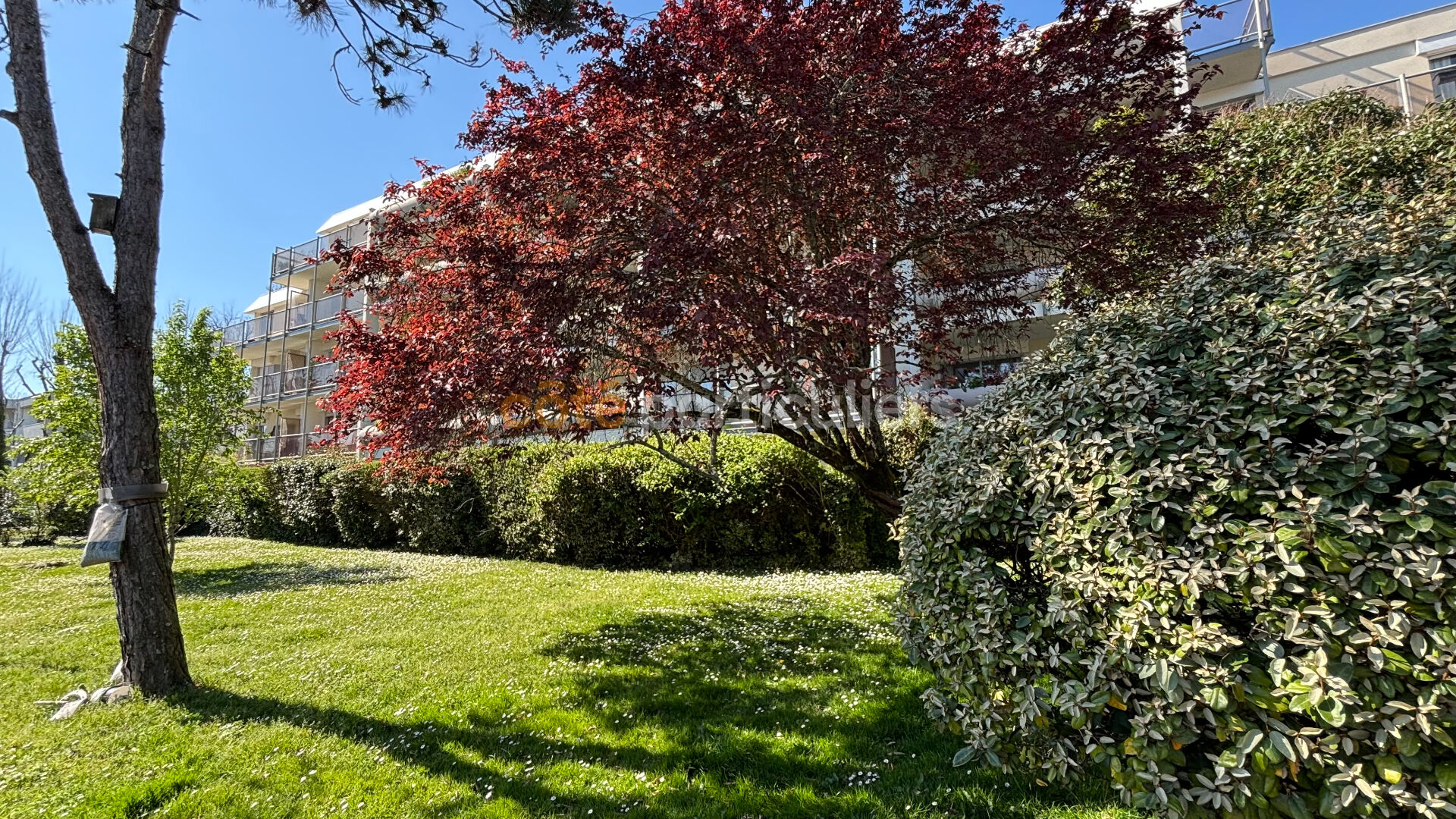 Appartement T3 à Bordeaux Caudéran de 69 m²