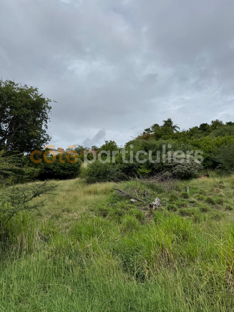 TERRAIN  A VENDRE EN MARTINIQUE