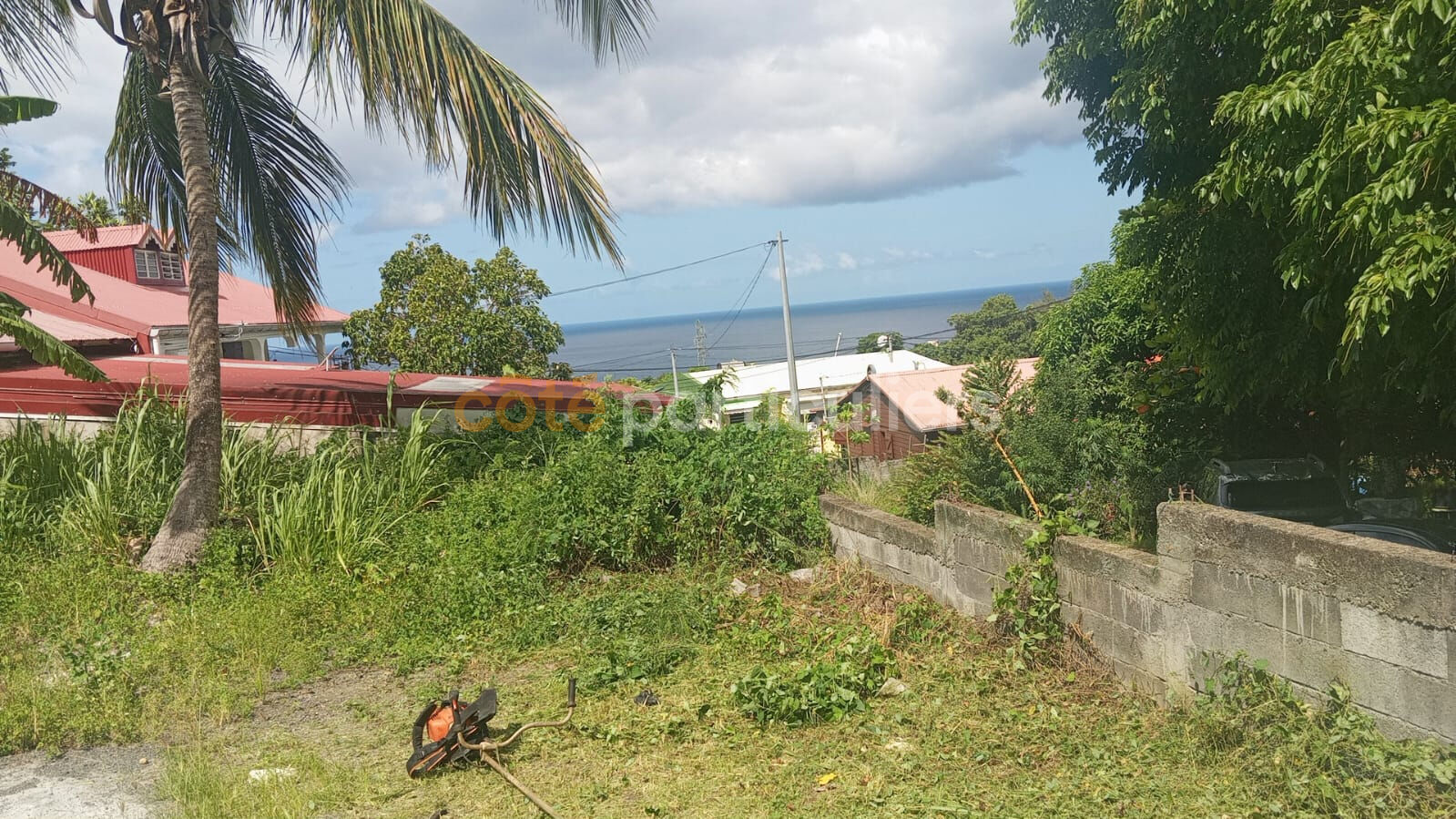 Terrain à bâtir ? Vue mer ? Blanchet ? Gourbeyre (97113)