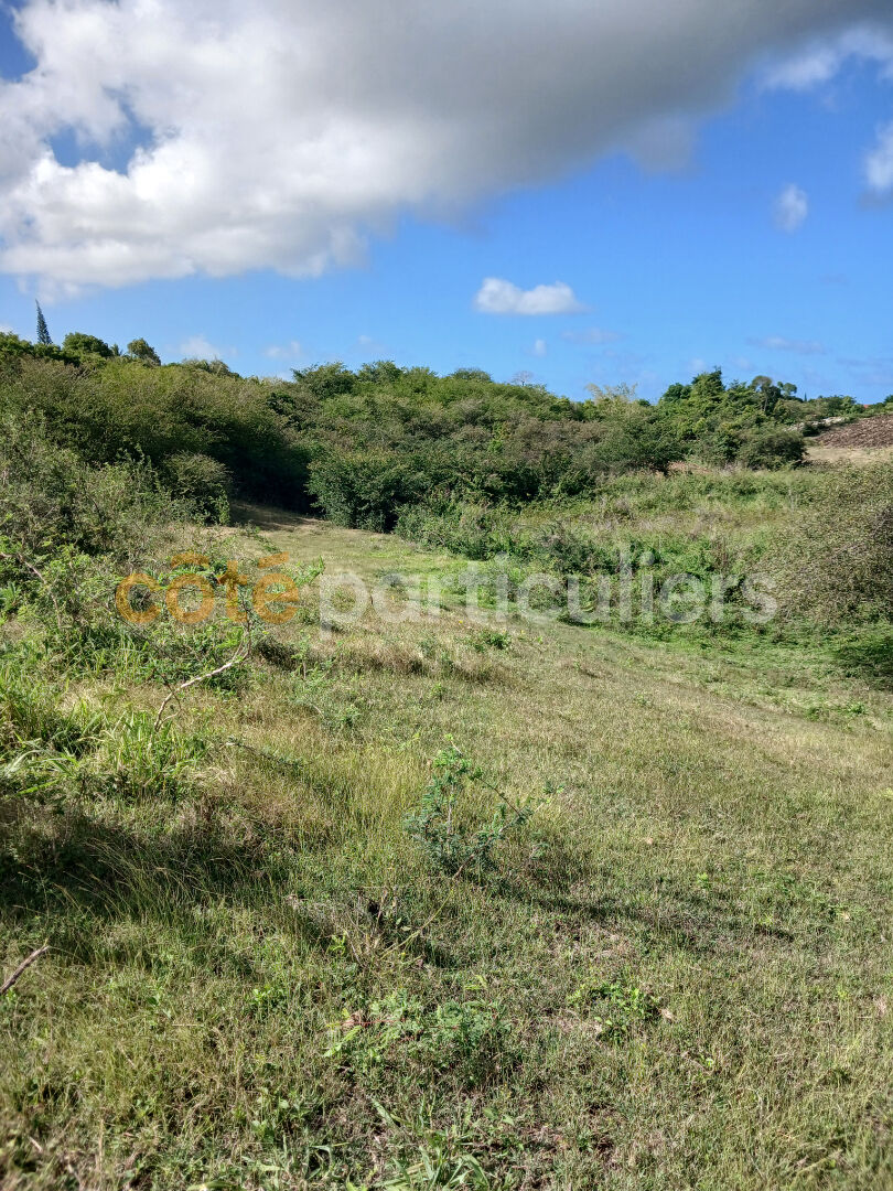 A vendre terrain Sainte Anne 1966 m2