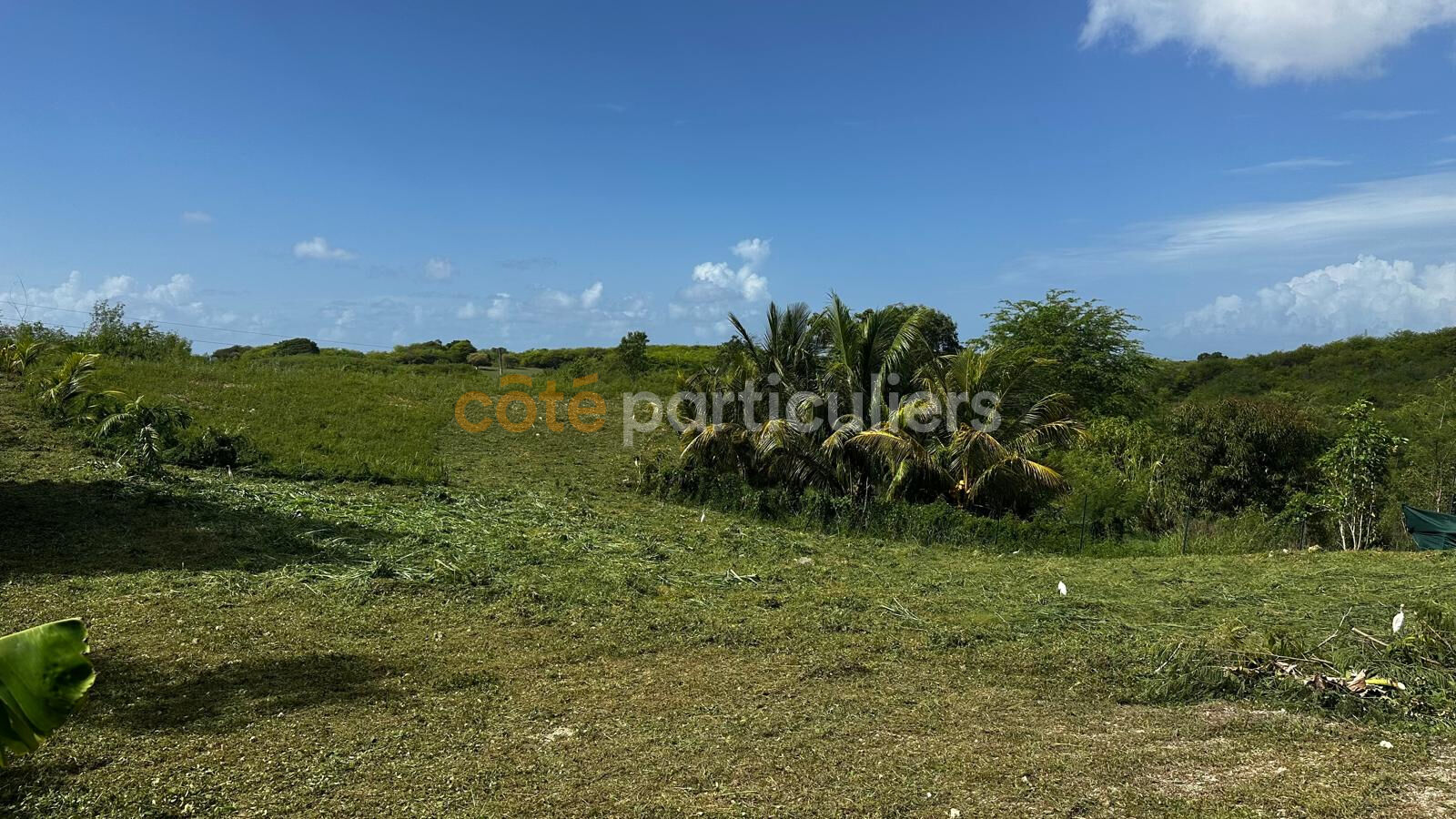 Terrain 779 m² · à Sainte Anne · 779 m² · 140 000 €