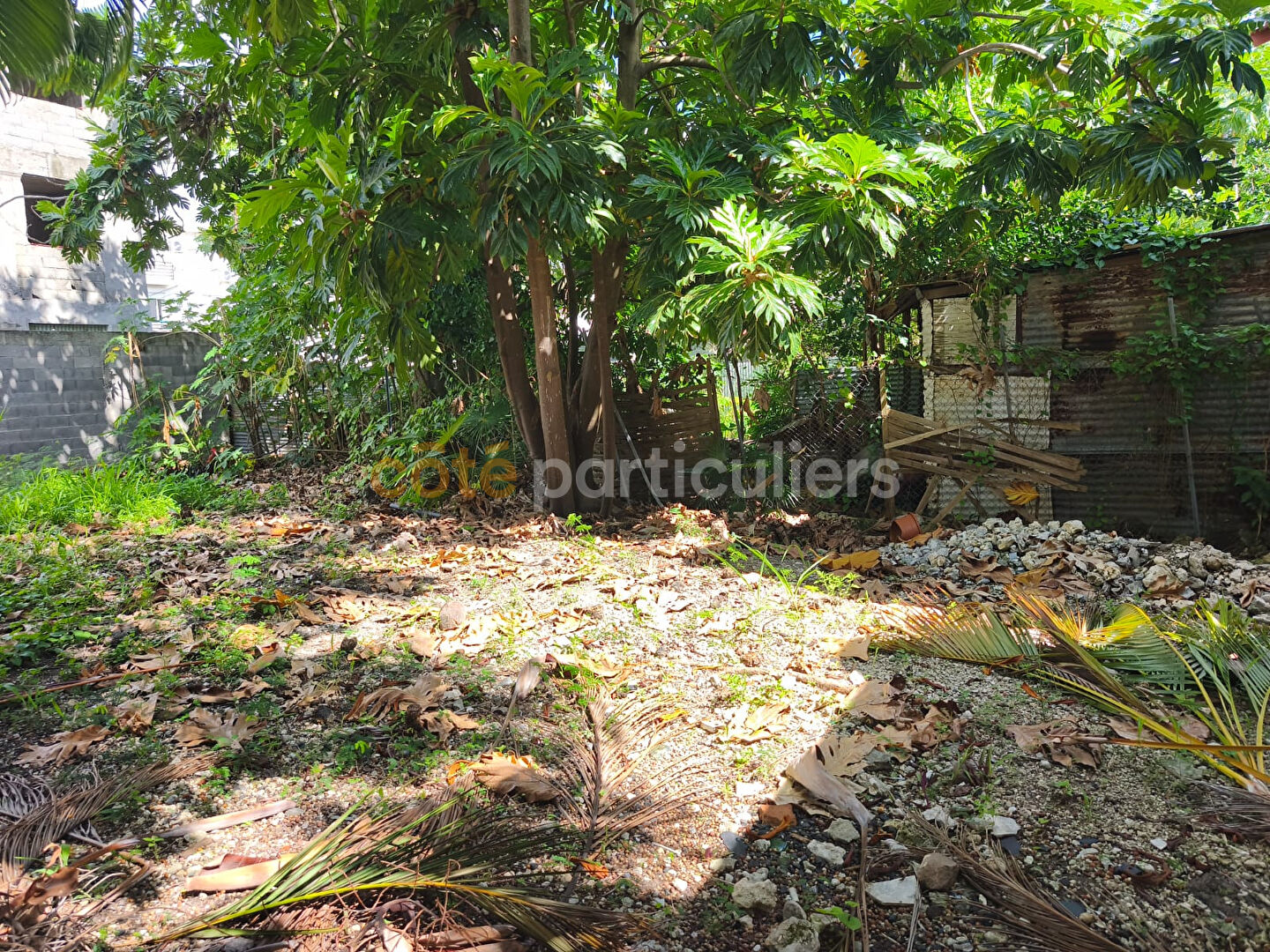 Terrain 302 m² · à Sainte Anne · 302 m² · 150 000 €