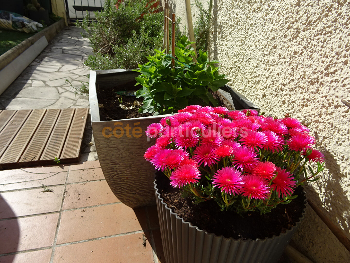 Appartement 5 pièces 105 m² · à Lattes · 105 m² · 320 000 €