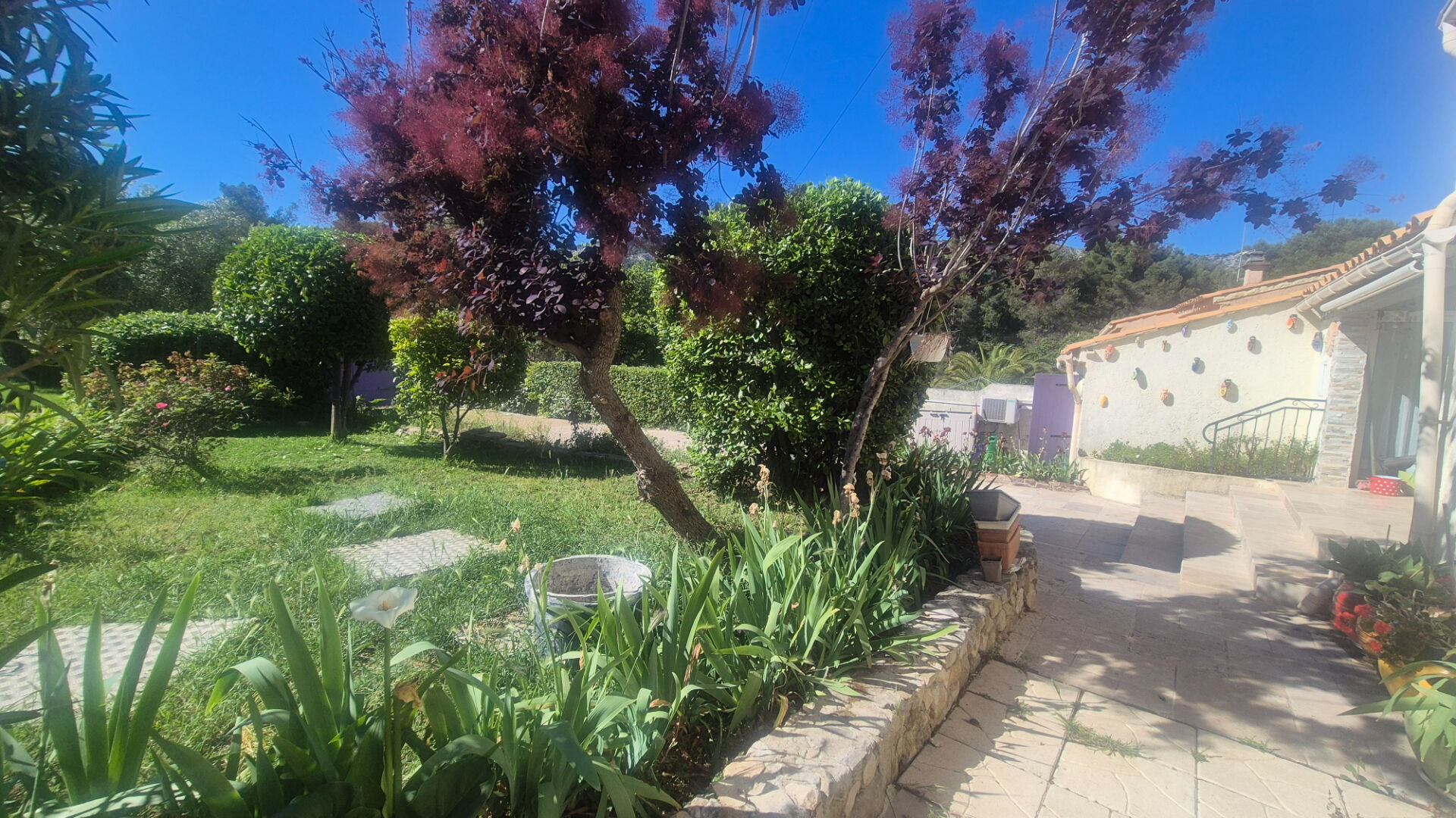 Photo 11
