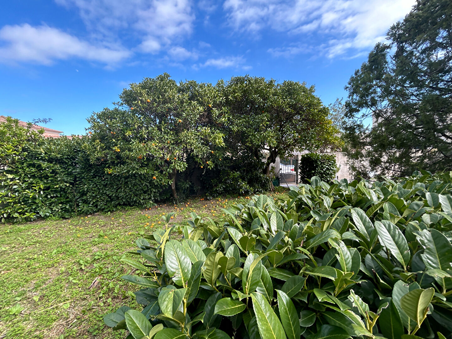 Maison 9 pièces 210 m² · à Borgo · 210 m² · 380 000 €