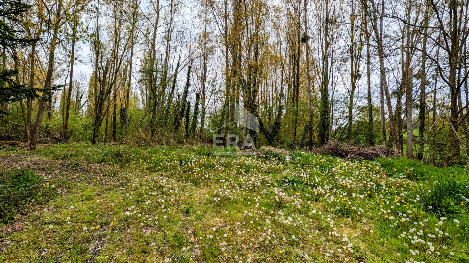Terrains à bâtir à lassy · 150 000 €