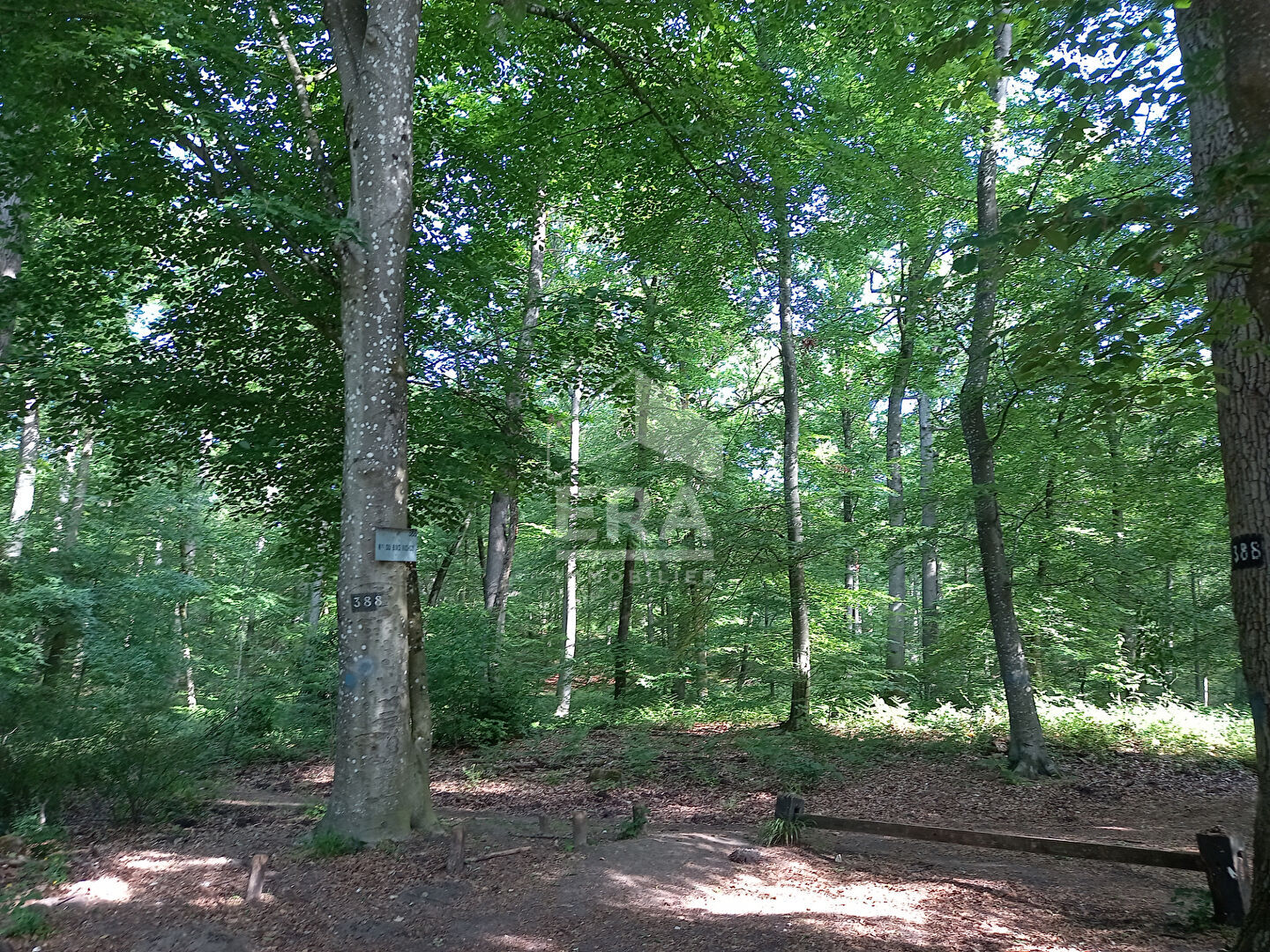 Appartement a louer fontainebleau - 1 pièce(s) - 22 m2 - Surfyn