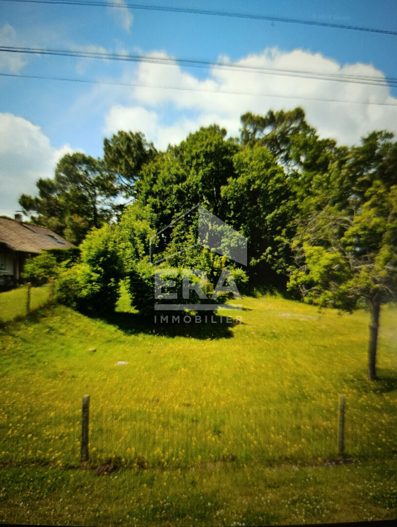 Terrain constructible trépied - cucq 1170 m² · 439 000 €